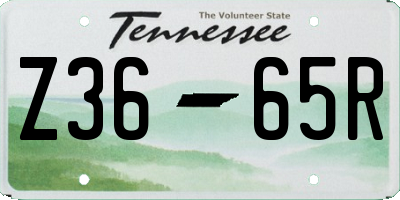 TN license plate Z3665R
