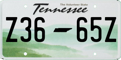 TN license plate Z3665Z