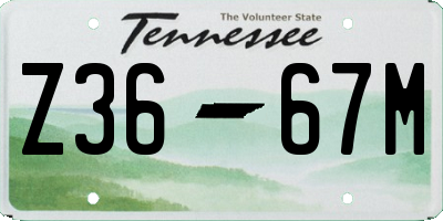 TN license plate Z3667M