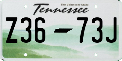 TN license plate Z3673J