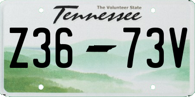 TN license plate Z3673V