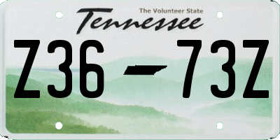 TN license plate Z3673Z
