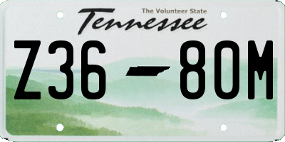 TN license plate Z3680M