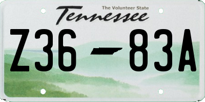TN license plate Z3683A
