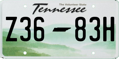 TN license plate Z3683H
