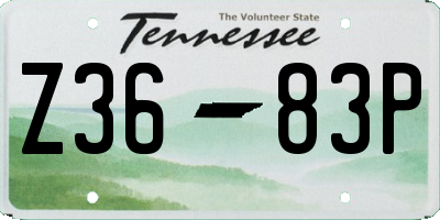 TN license plate Z3683P