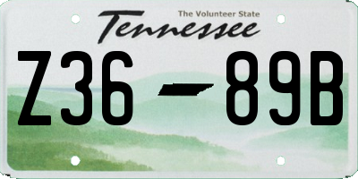 TN license plate Z3689B
