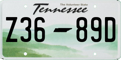 TN license plate Z3689D