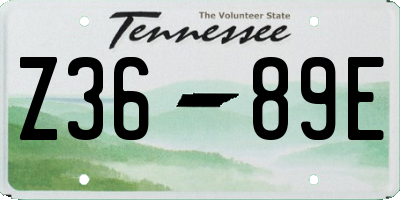 TN license plate Z3689E