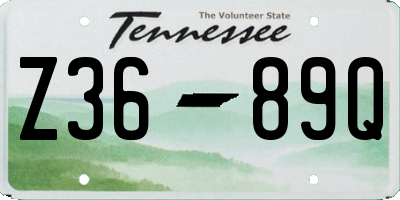 TN license plate Z3689Q