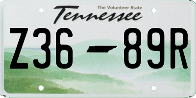 TN license plate Z3689R