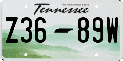 TN license plate Z3689W
