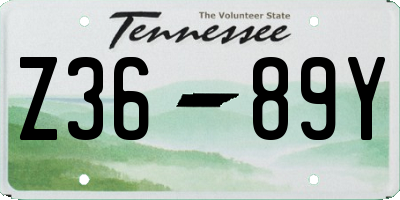 TN license plate Z3689Y