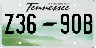 TN license plate Z3690B