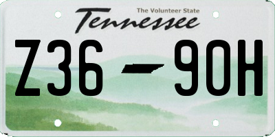 TN license plate Z3690H