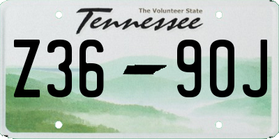TN license plate Z3690J