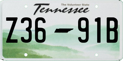 TN license plate Z3691B