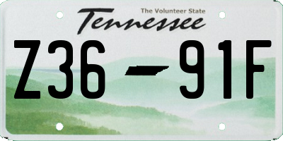 TN license plate Z3691F