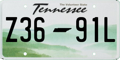 TN license plate Z3691L