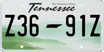 TN license plate Z3691Z
