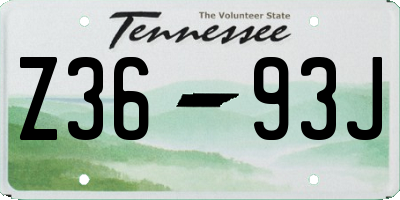 TN license plate Z3693J