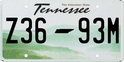 TN license plate Z3693M