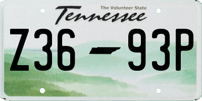 TN license plate Z3693P