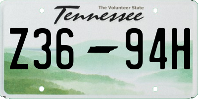 TN license plate Z3694H