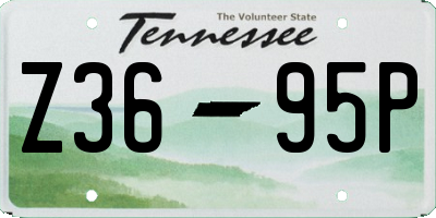 TN license plate Z3695P