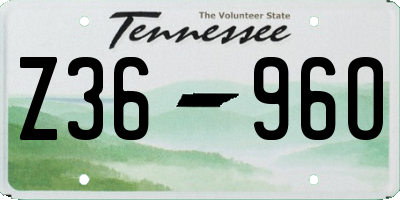 TN license plate Z3696O