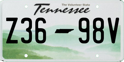 TN license plate Z3698V