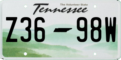 TN license plate Z3698W