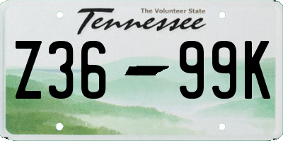 TN license plate Z3699K