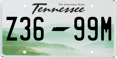 TN license plate Z3699M