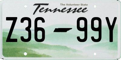 TN license plate Z3699Y
