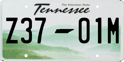TN license plate Z3701M