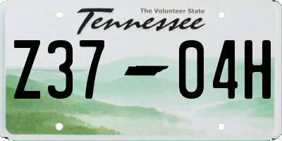 TN license plate Z3704H