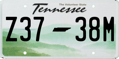 TN license plate Z3738M