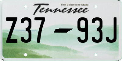 TN license plate Z3793J