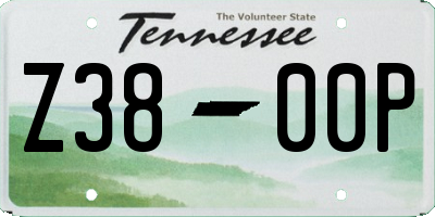 TN license plate Z3800P