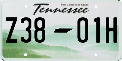 TN license plate Z3801H