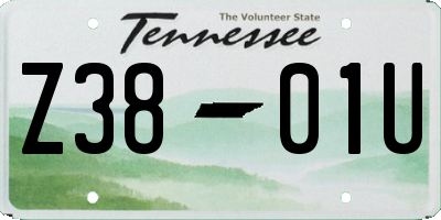 TN license plate Z3801U