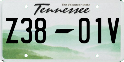 TN license plate Z3801V