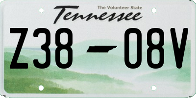 TN license plate Z3808V