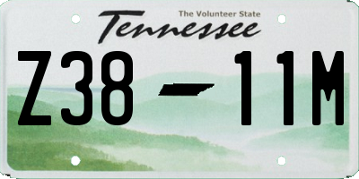 TN license plate Z3811M