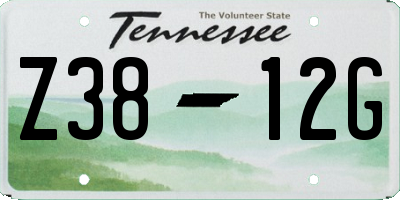 TN license plate Z3812G