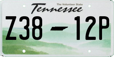 TN license plate Z3812P