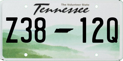 TN license plate Z3812Q