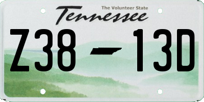 TN license plate Z3813D