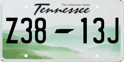 TN license plate Z3813J